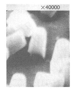 倒壊剥離後のレジストパターンのSEM写真(4万倍)