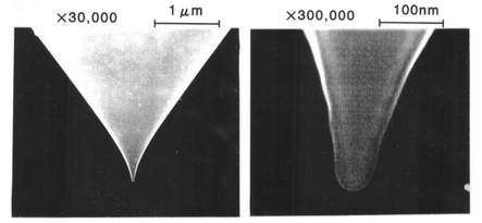 AFM探針のSEM写真